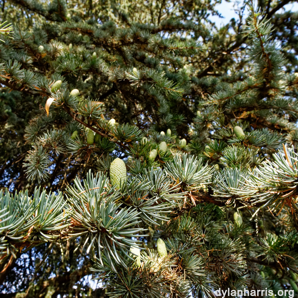 image: This is ‘
remich 2
’.