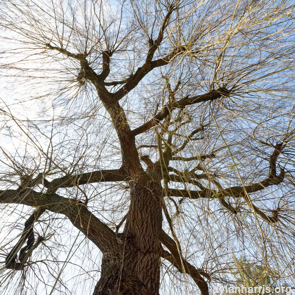 image: This is ‘
remich 3
’.