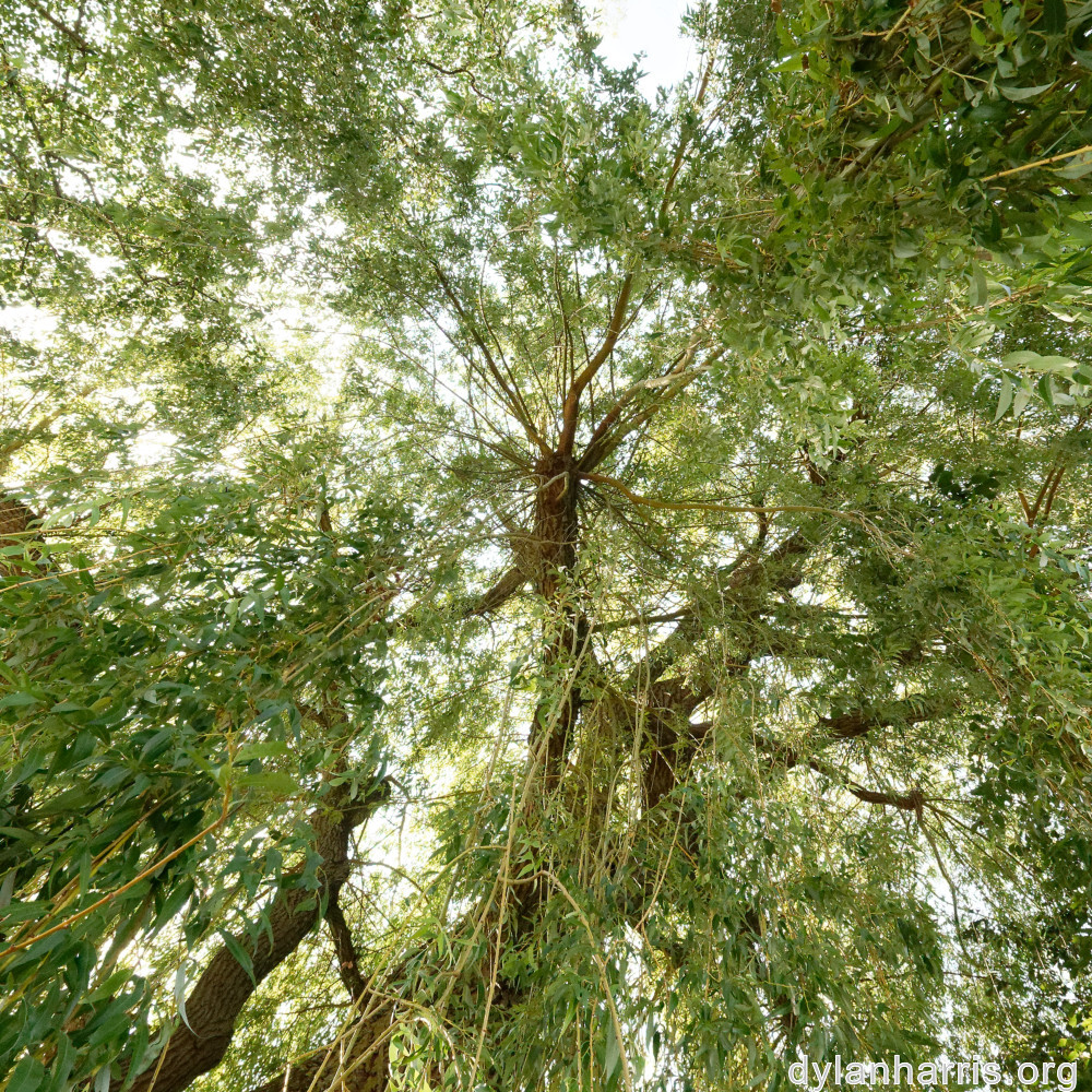 image: This is ‘
remich 5
’.