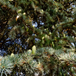 image: Image from the photoset ‘
remich (ii)
’.