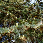 image: Image from the photoset ‘
remich (ii)
’.