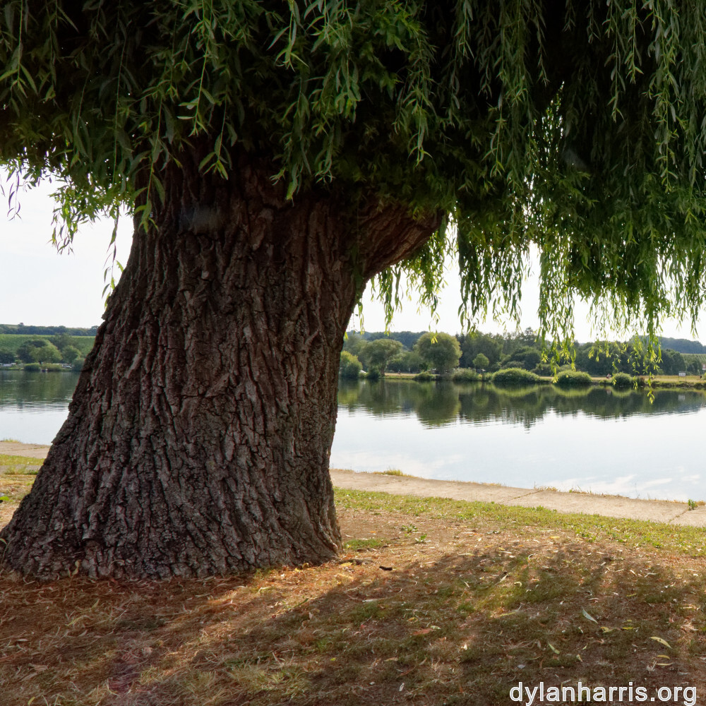 image: This is ‘
remich 1
’.