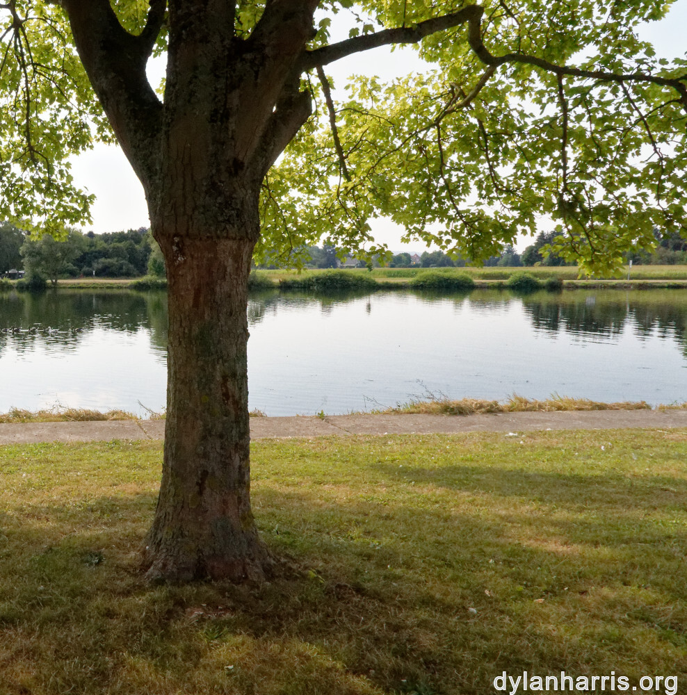 image: This is ‘
remich 4
’.