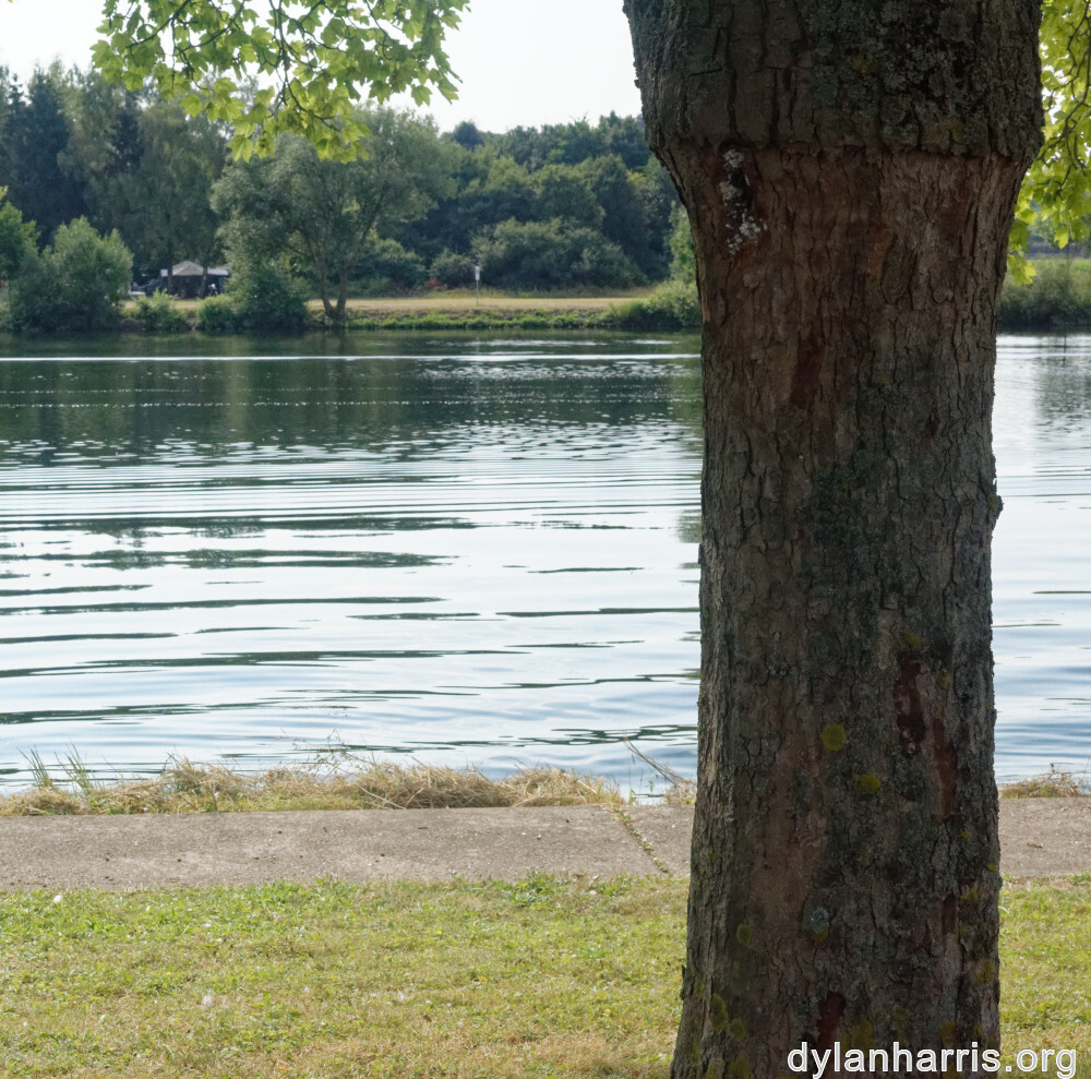 image: This is ‘
remich 5
’.