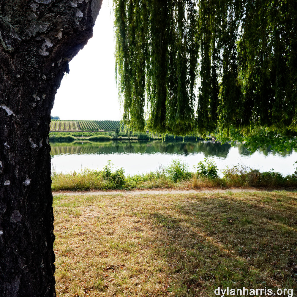 image: This is ‘
remich 6
’.