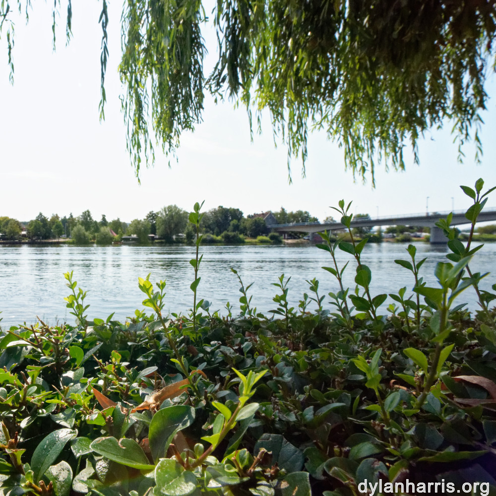 image: This is ‘
remich 8
’.