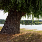 image: Image from the photoset ‘
remich (iii)
’.