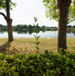 image: Image from the photoset ‘
remich (iii)
’.