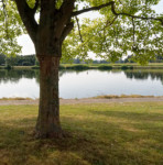 image: Image from the photoset ‘
remich (iii)
’.