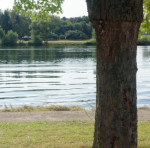 image: Image from the photoset ‘
remich (iii)
’.