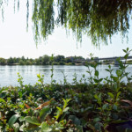 image: Image from the photoset ‘
remich (iii)
’.