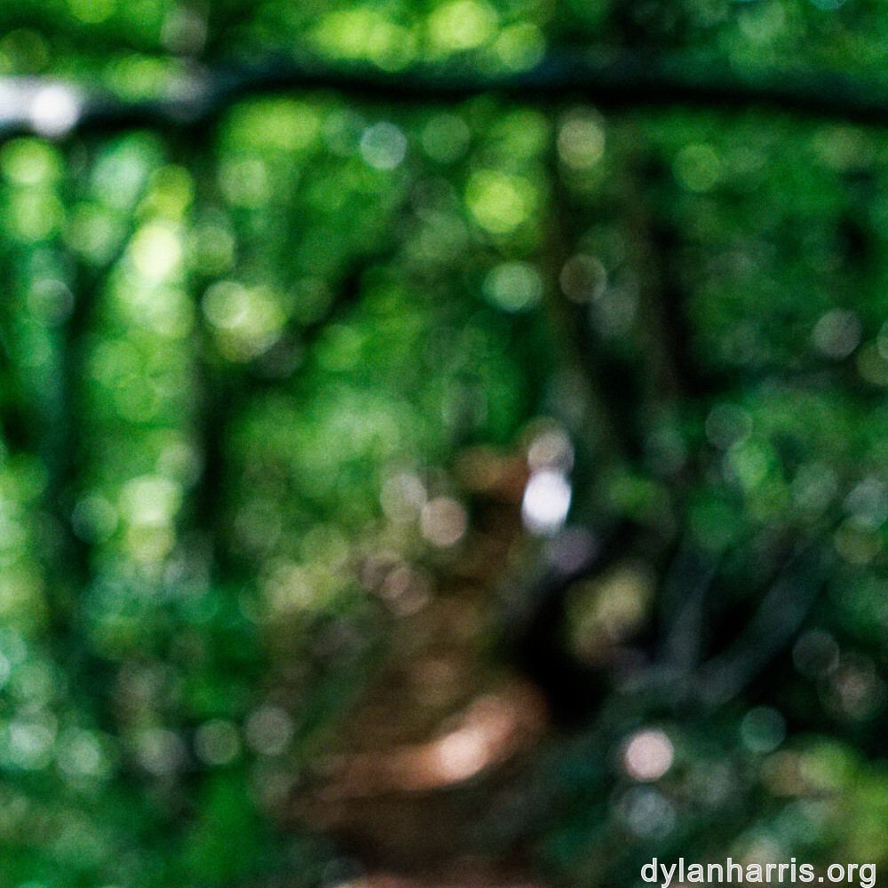 image: This is ‘
belvaux (viii) 1
’.