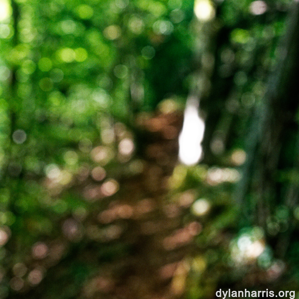 image: This is ‘
belvaux (viii) 2
’.