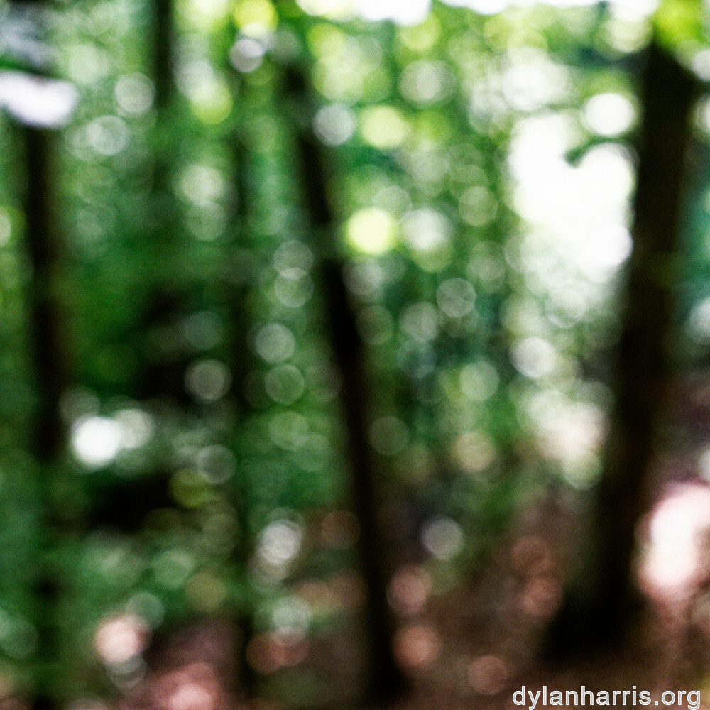 image: This is ‘
belvaux (viii) 4
’.