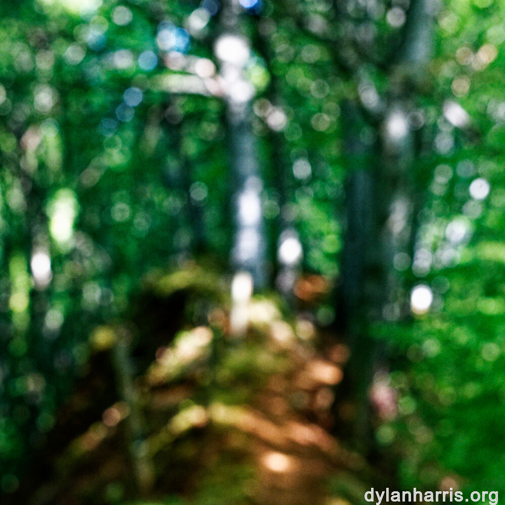 image: This is ‘
belvaux (viii) 5
’.