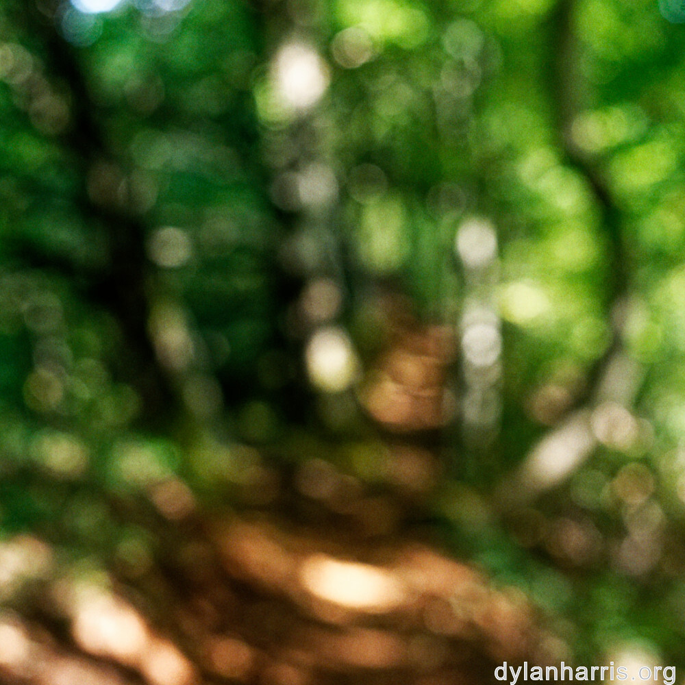 image: This is ‘
belvaux (viii) 7
’.