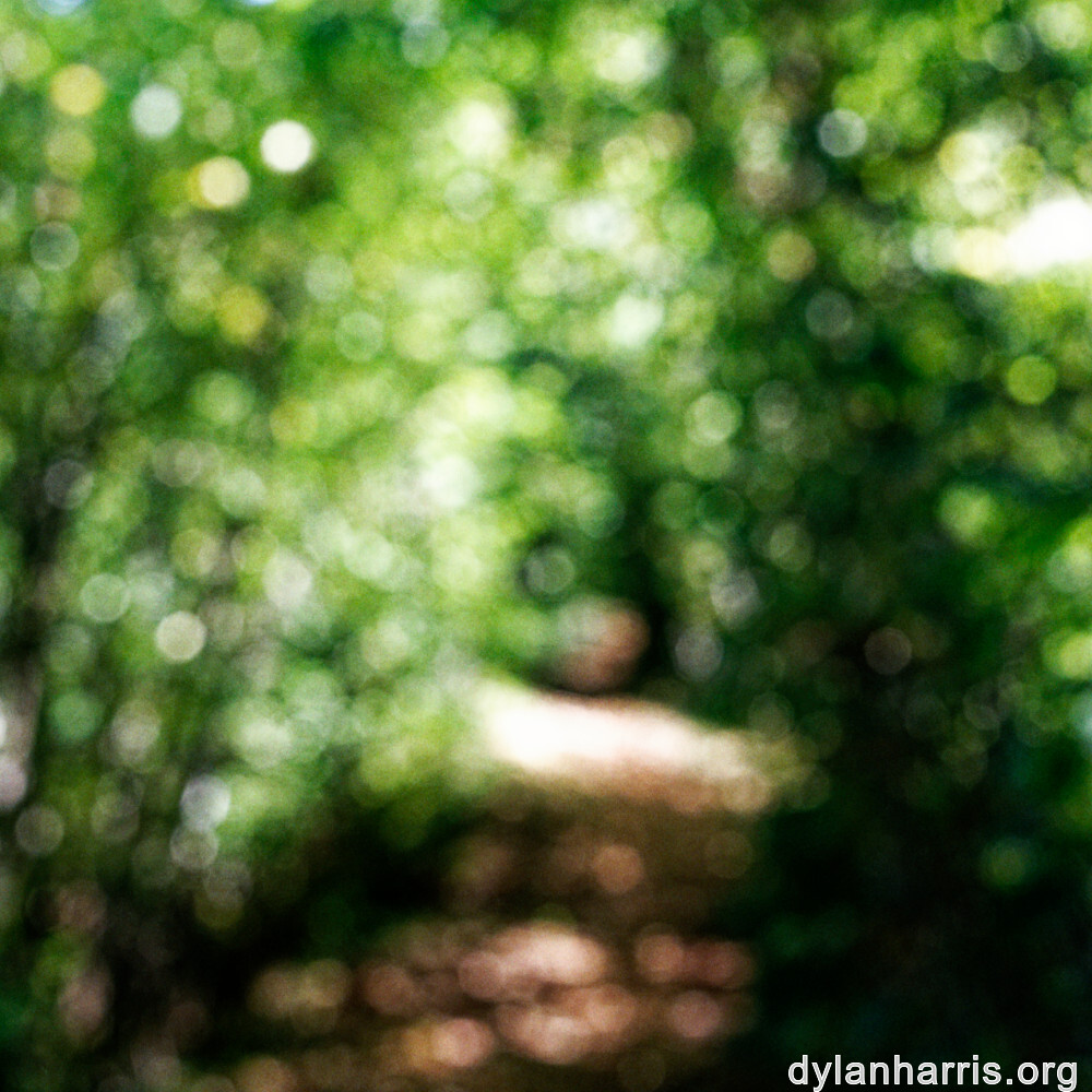 image: This is ‘
belvaux (viii) 8
’.