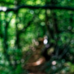 image: Image from the photoset ‘
belvaux (viii)
’.