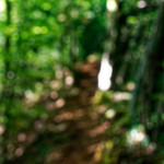 image: Image from the photoset ‘
belvaux (viii)
’.