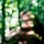 image: Image from the photoset ‘
belvaux (viii)
’.