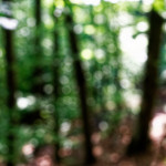 image: Image from the photoset ‘
belvaux (viii)
’.