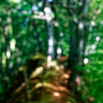 image: Image from the photoset ‘
belvaux (viii)
’.