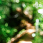 image: Image from the photoset ‘
belvaux (viii)
’.