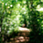 image: Image from the photoset ‘
belvaux (viii)
’.