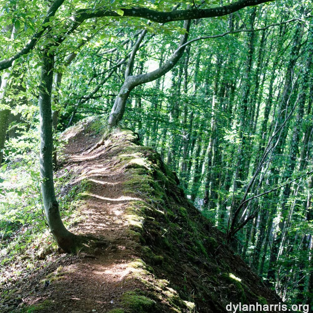 image: This is ‘
belvaux (ix) 1
’.