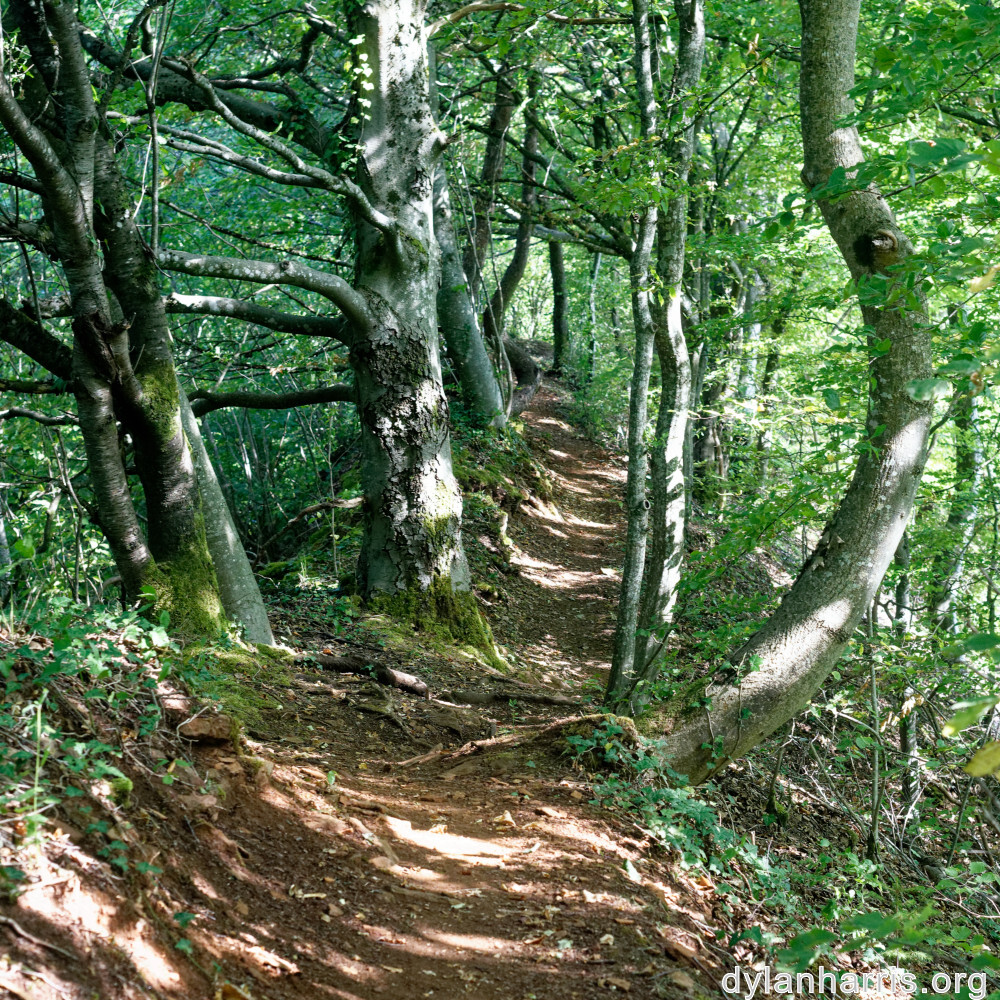 image: This is ‘
belvaux (ix) 5
’.