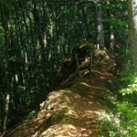 image: Image from the photoset ‘
belvaux (ix)
’.