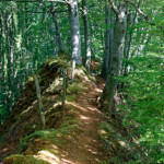 image: Image from the photoset ‘
belvaux (ix)
’.