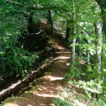 image: Image from the photoset ‘
belvaux (ix)
’.