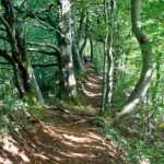 image: Image from the photoset ‘
belvaux (ix)
’.