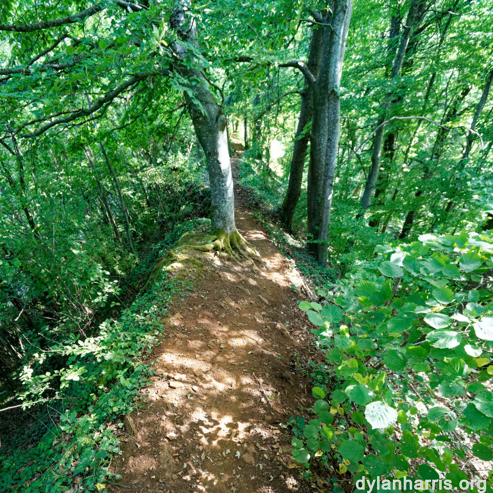 image: This is ‘
belvaux (x) 4
’.