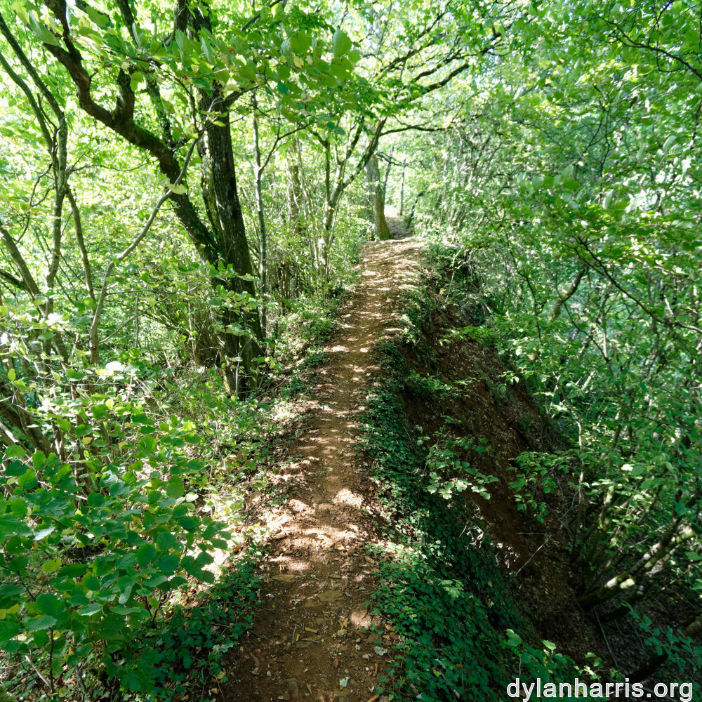 image: This is ‘
belvaux (x) 5
’.