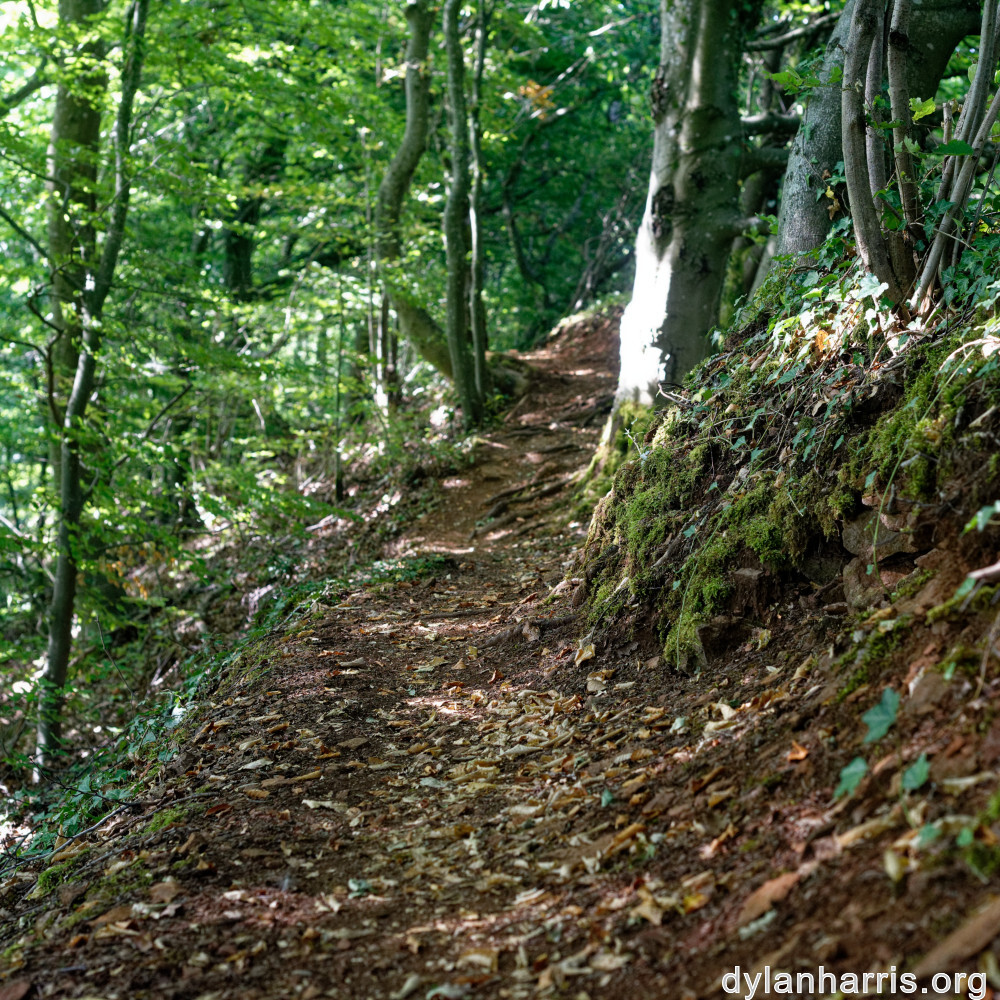 image: This is ‘
belvaux (x) 6
’.