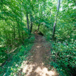 image: Image from the photoset ‘
belvaux (x)
’.