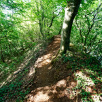 image: Image from the photoset ‘
belvaux (x)
’.