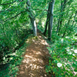 image: Image from the photoset ‘
belvaux (x)
’.