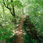 image: Image from the photoset ‘
belvaux (x)
’.