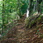 image: Image from the photoset ‘
belvaux (x)
’.