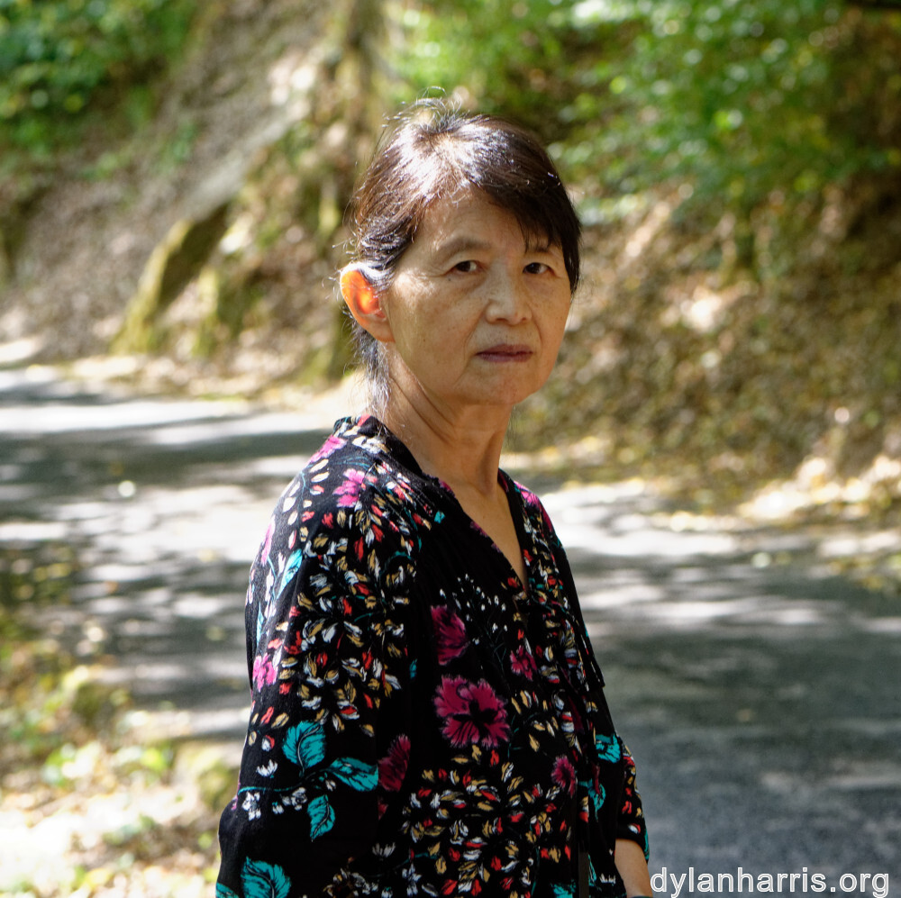 image: This is ‘
L (xxxix) 2
’.