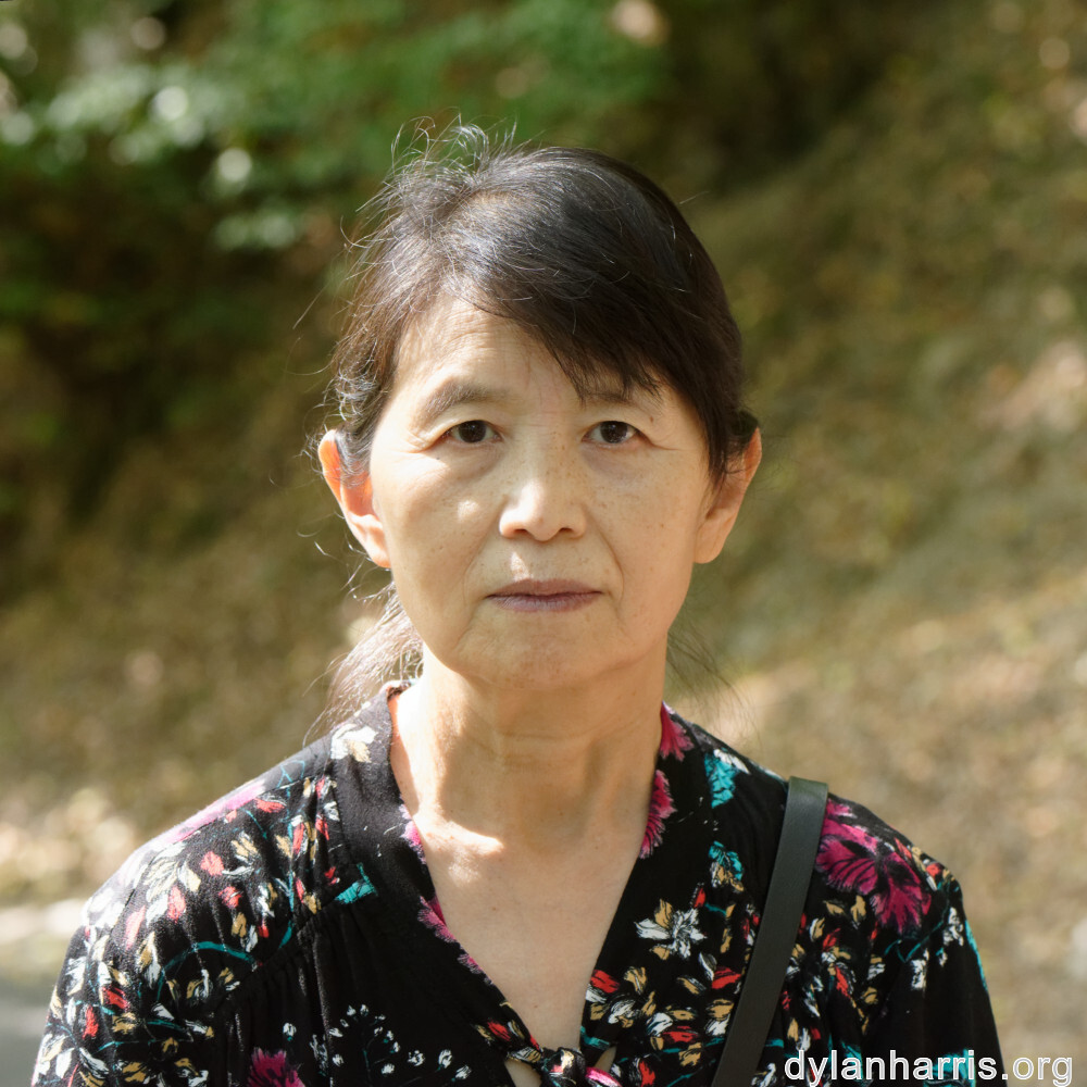 image: This is ‘
L (xxxix) 3
’.