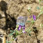 image: Image from the photoset ‘
rumelange (xii)
’.