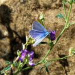 image: Image from the photoset ‘
rumelange (xii)
’.