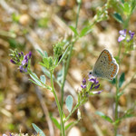 image: Image from the photoset ‘
rumelange (xii)
’.