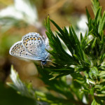 image: Image from the photoset ‘
rumelange (xii)
’.