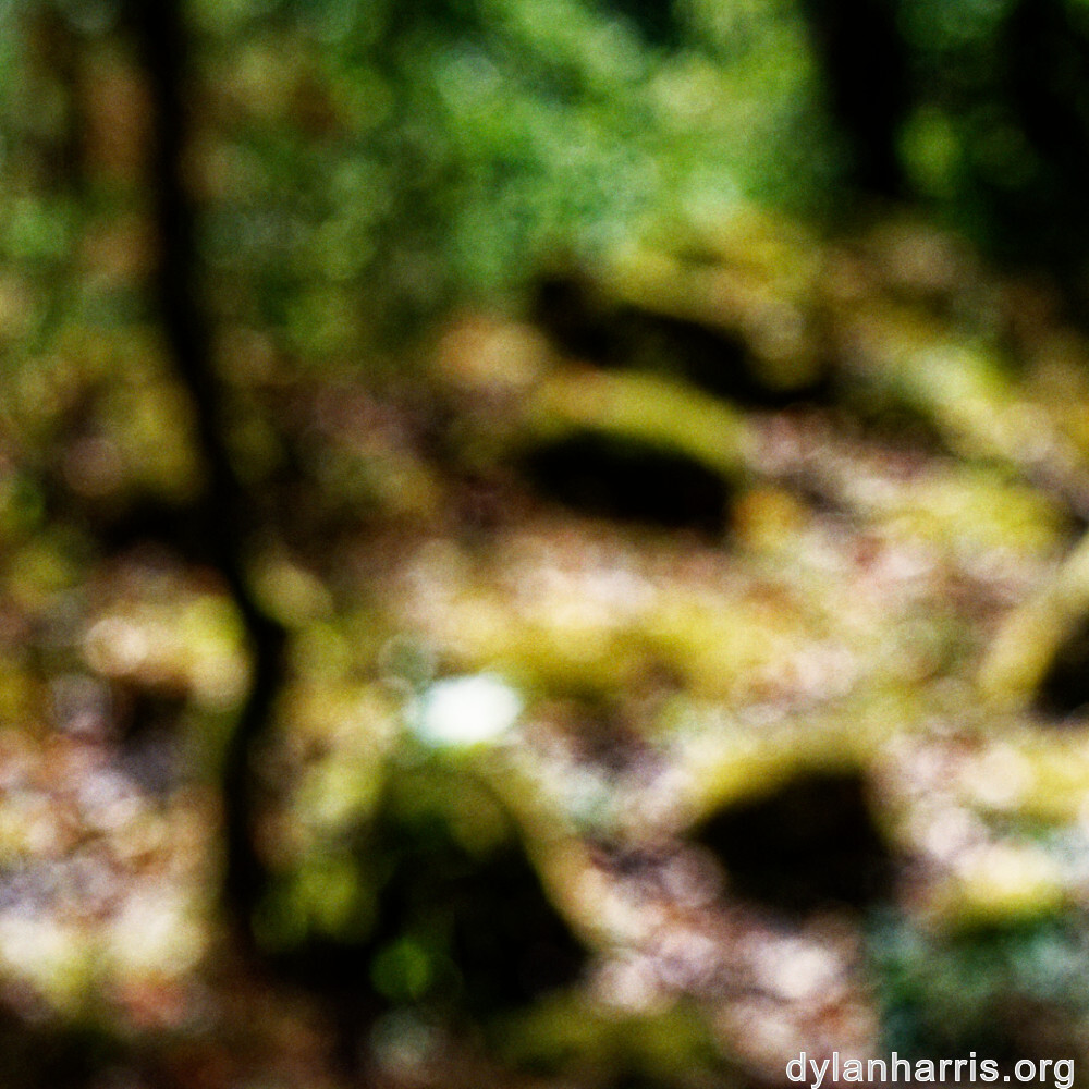 image: This is ‘
rumelange 2
’.