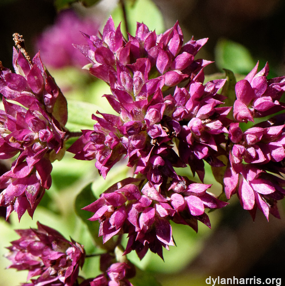 image: This is ‘
rumelange 3
’.